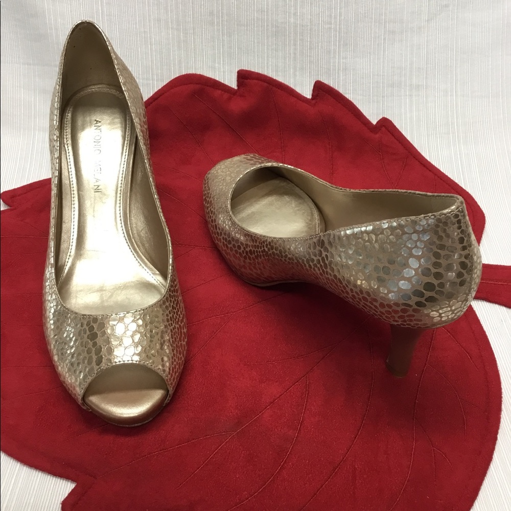 Antonio Melani Darling Gold/Silver Heels